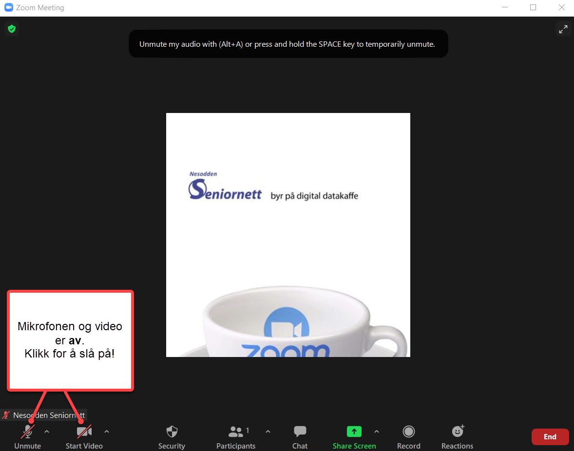 I møtet - video og mikrofon er av