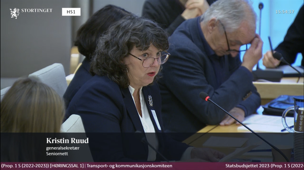 Bilde av Kristin under stortingshøringen.