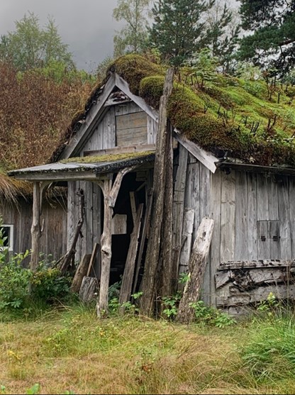 Lasse Midtvik, Jakten etter slektsgårder